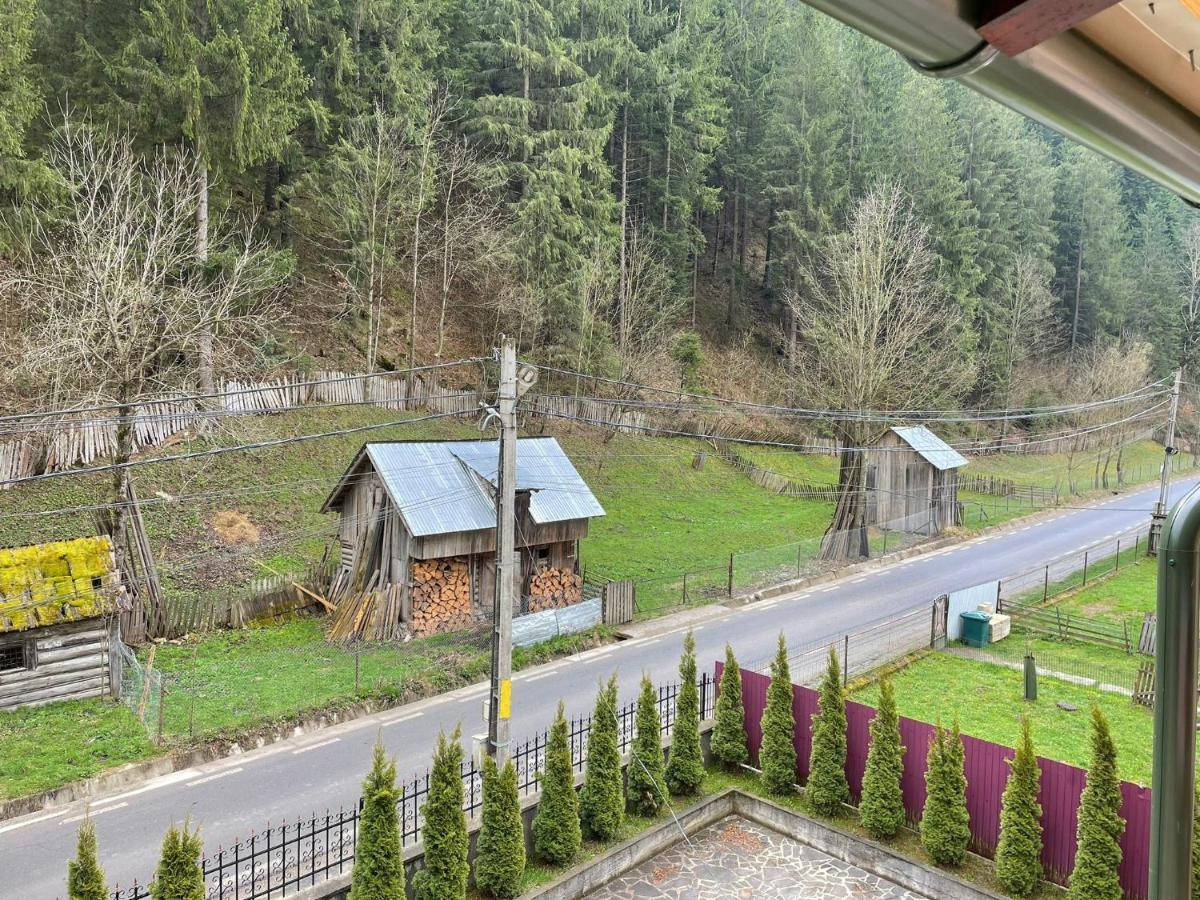 Pensiunea Pe Drumuri De Munte Borca Exterior foto